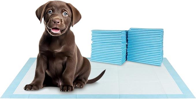 BV XXL Puppy Pads 20 Count 30" x 36" - Leak-Proof Pee Pads for Dogs with 6-Layer Design, Rapid Dry Sheet & Attractant - Dog Pad Extra Large with Odor Control - Perfect for Big Dogs & Indoor Use