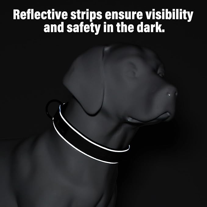 Plutus Pet Tactical Dog Collar, Reflective, Adjustable Heavy Duty Dog Collar, Soft Padded and Comfortable, for Small Medium and Large Dogs (Orange, M)