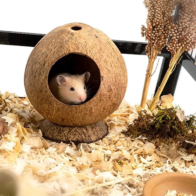 Coconut Hamster Hideout Hamster House Gerbil Cage for Small Animals with a Bundle of Apple Sticks a Carrot (Brown)