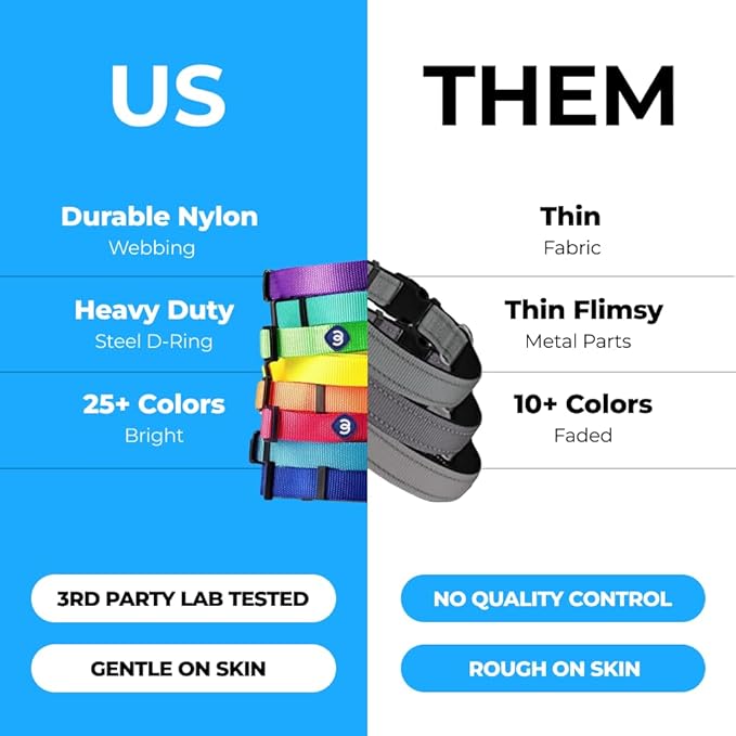 Blueberry Pet Essentials X-Small Dog Collar in Neon Green | Adjustable & Eco-Friendly Durable Nylon Strap | Classic Collar for X-Small Dogs, Boy & Girl Pets