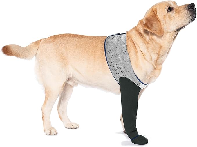 COODEO Dog Socks to Prevent Licking Paws, Healing Boots & Paw Protectors with Non-Slip Bottoms for Wound Protection, Waterproof Sleeve Shoes for Licking（Grey，3XL_Right