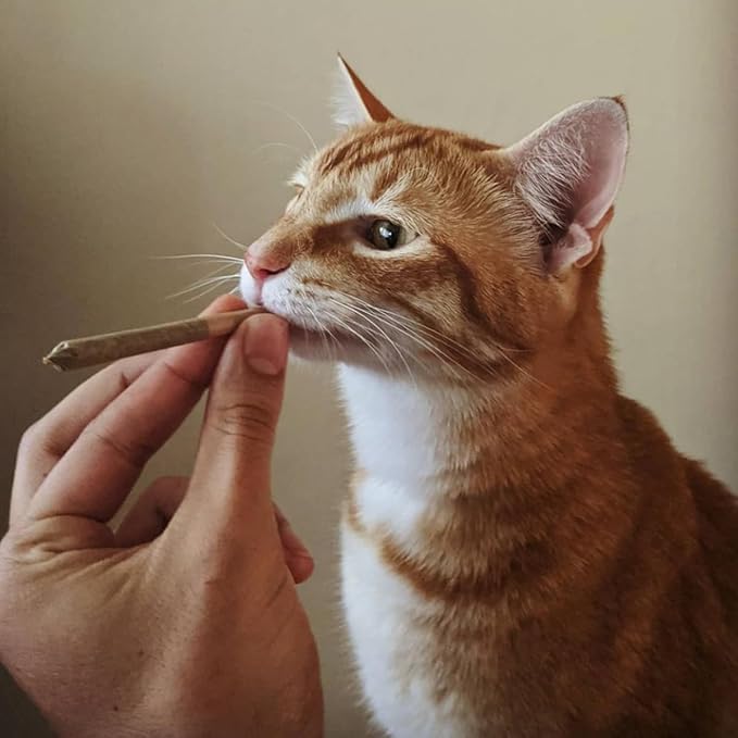 Meowijuana | King Size Catnip Joints | Organic | Dried Premium Ground Catnip | High Potency | Grown in North America | Feline and Cat Lover Approved