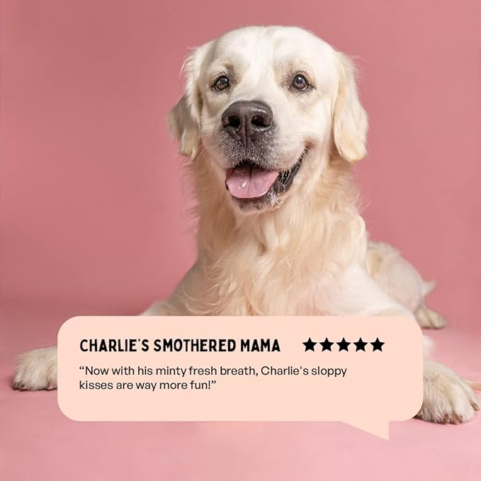 Fresh Breath Oral Strips for Dogs & Cats | Natural Spearmint & Thymol for Easy and Convenient, All-Natural Oral Care (30 Oral Dissolving Strips)