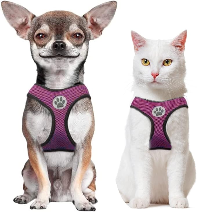 BINGPET Small Dog Harness - Breathable Mesh Puppy Cat Harnesses - No Pull Adjustable Dog Harness Dog Vest Harness for Small and Medium Dogs