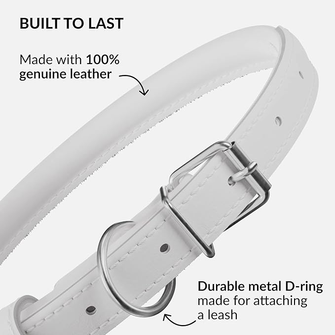 CollarDirect Rolled Leather Dog Collar, Soft Padded Round Puppy Collar, Handmade Genuine Leather Collar Dog Small Large Cat Collars 13 Colors (18-22 Inch, White Smooth)