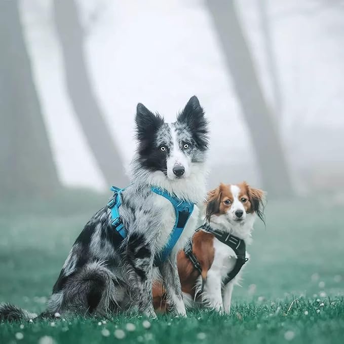 TRUE LOVE Truelove Adjustable No-Pull Dog Harness Reflective Pup Vest Harnesses Comfortable Control Brilliant Colors TLH5651(Blue,XL)