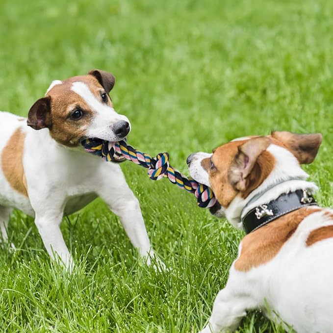 Dog Toys for Aggressive Chewers Large Medium Breed, Indestructible Dog Toothbrush Chew Toys, Squeaky Interactive Tough Extremely Durable, Dogs Toys to Keep Them Busy