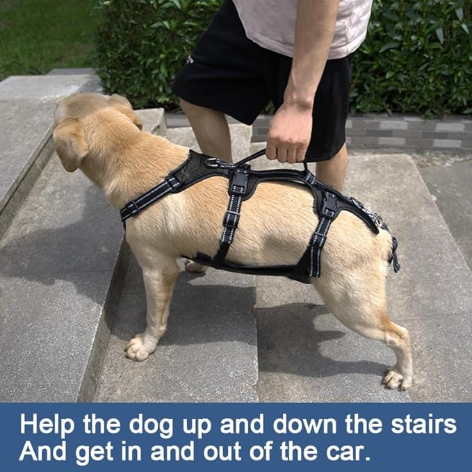 Coodeo Dog Lift Harness, Support & Recovery Sling, Pet Rehabilitation Lifts Vest Adjustable Breathable Straps for Old, Disabled, Joint Injuries, Arthritis, Paralysis Dogs Walk (Black,L)
