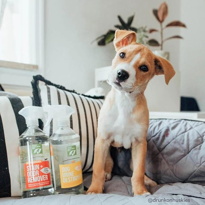 Only Natural Pet Advanced Dog Stain + Odor Remover with Oxy, All-Natural Professional Strength Enzymatic Cleaner - Pet Stain and Urine Odor Remover- 32 Fl Oz