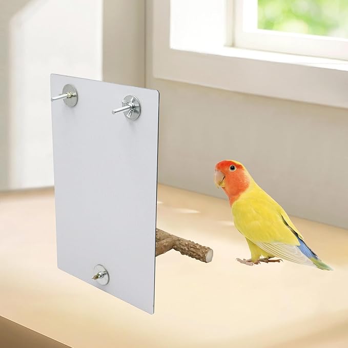 Bird Mirror Toy with Perch Stand, Parrot Parakeet Mirror with Bird Swing Bell Toys, Bird Cage Accessories, Suitable for Parakeet Cockatiel Conure Lovebirds - 7.9 × 6.3 Inch