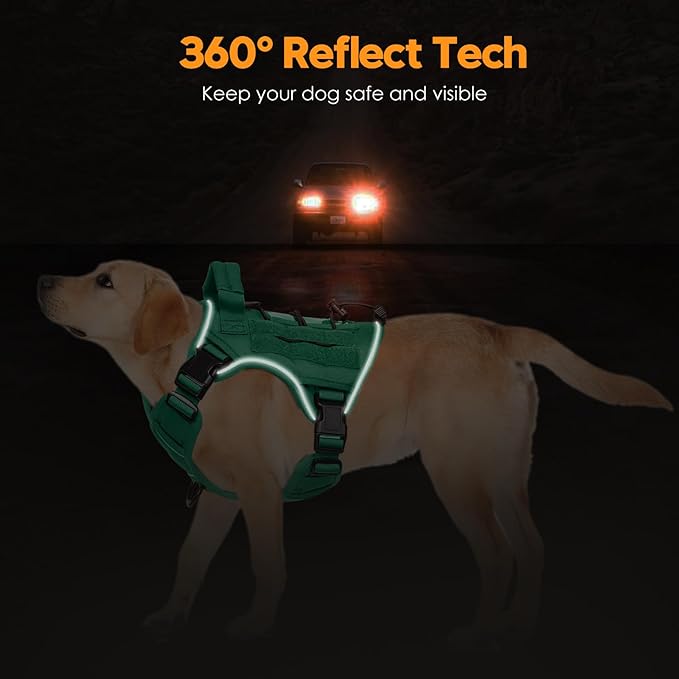 Heavy-Duty Tactical Dog Harness for Large Dogs, No Pull Adjustable Reflective Pet Vest with Molle System, K9 Military-Grade Control for Service Training, Outdoor & 10+ Breeds, Turquoise, Small