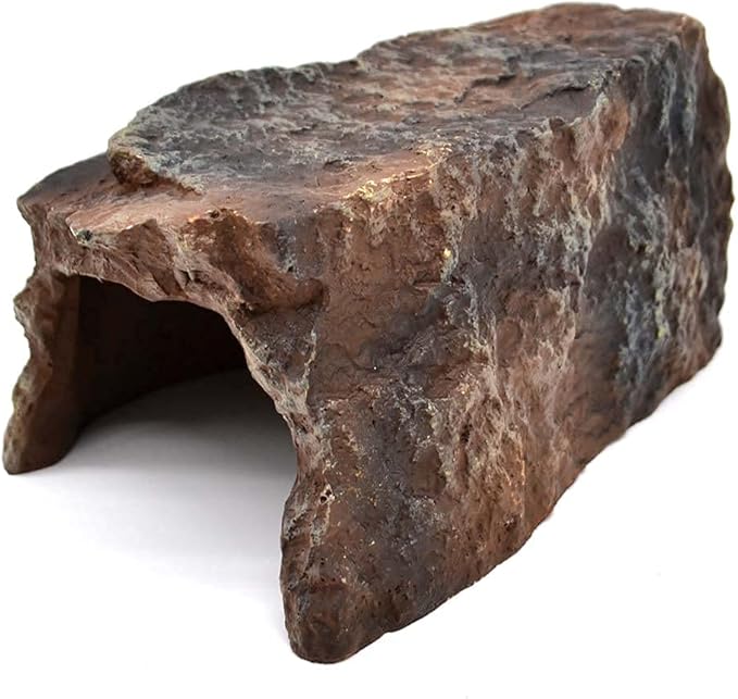 Boa Constrictor Habitat 10 Gallon Terrarium Kit