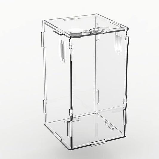 BETAZOOER Acrylic Mini Reptile Tank Habitat Transparent Terrariums with Locking Latch Suitable for Tarantula Isopod Roach Invertebrates (8''x6''x14'')
