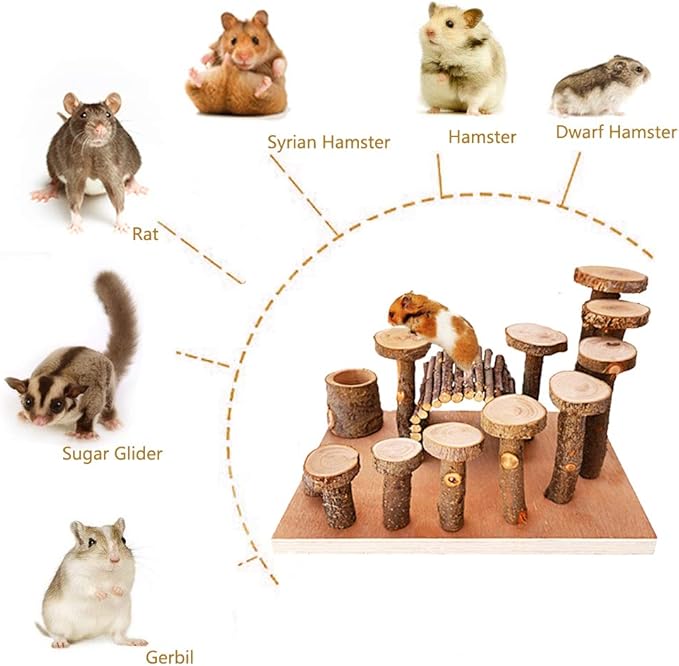 Wooden Chinchilla Platform Toy - Activity Playground Stand Ladder Hideout Set Bridge Ramps Chew Toys for Mouse, Dwarf Hamster, Gerbil, Rat, Sugar Glider, Syrian Hamster, Small Animals