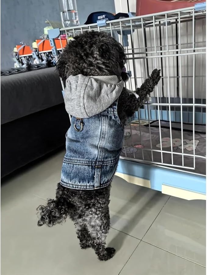 Puppy Harness Jacket for Small Dogs - Breathable Soft Dog Clothes with D-Ring for Leash, Lightweight Comfort Vest for Small Breed Puppies, Cats