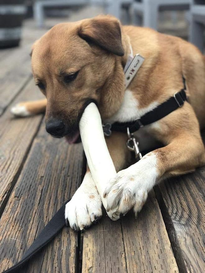 Brazilian Pet Premium Retriever Rolls 10-11 inches (10 Pack),100% Natural Dog Treat Chew. No Artificial Preservatives