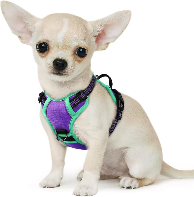 Eagloo Small Dog Harness No Pull, Service Vest with Reflective Strips and Control Handle, Adjustable and Comfortable for Walking, No Choke Pet Harness with 2 Metal Rings, Purple & Green, XS