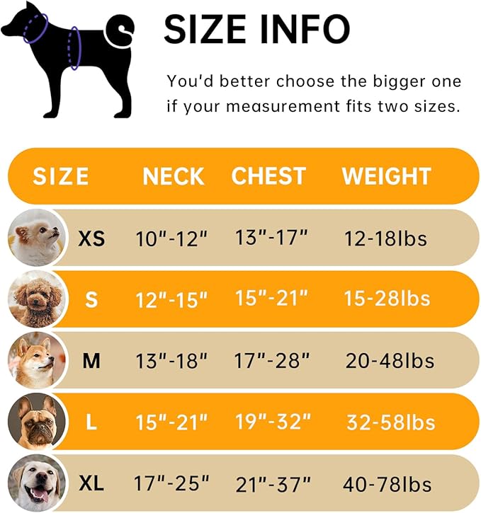 IVY&LANE No Pull Dog Harness for Small Dogs, Vest Harness with Leash, Safety Belt and Storage Strap, Fully Adjustable, 360° Reflective Strip, Soft Handle (Orange, S)