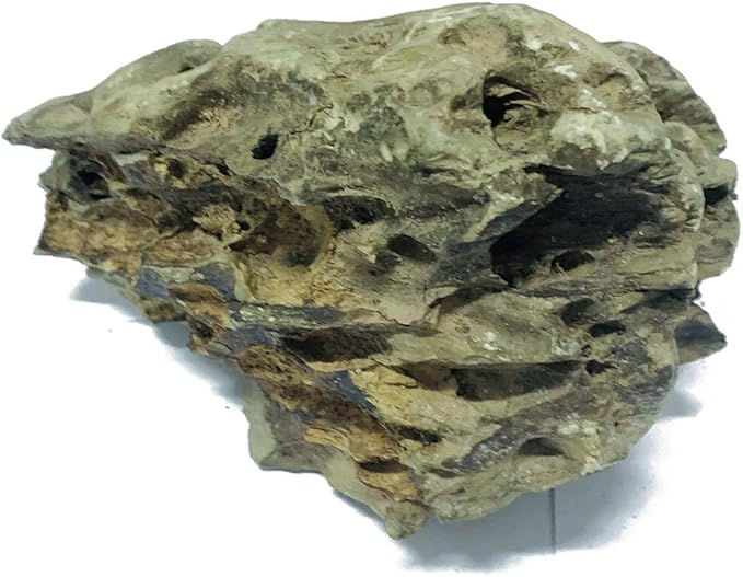 Natural Stone Aquarium Decoration 8.8lb Dragon Stone Rock Mixed Sizes for Micro Landscape Fish Tank Decor