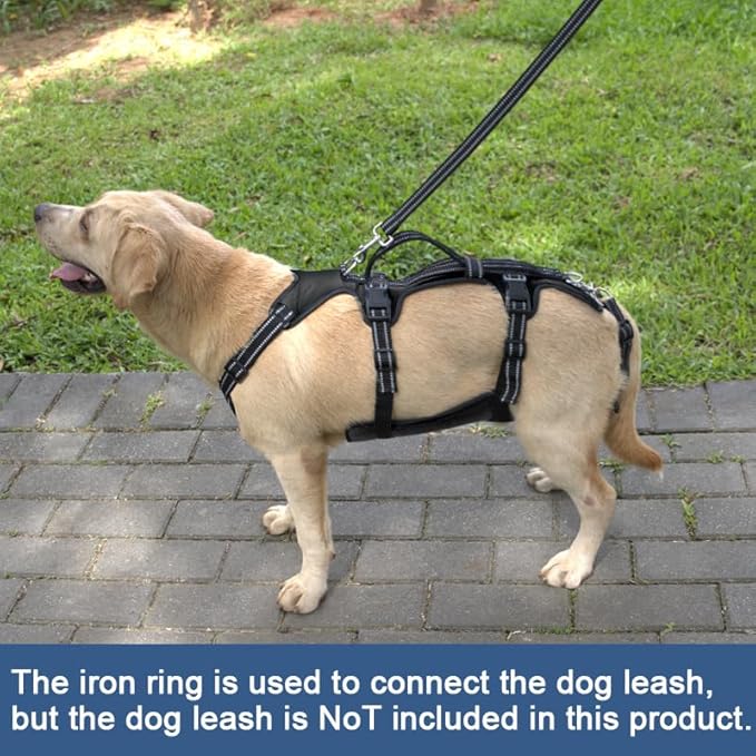 Coodeo Dog Lift Harness, Support & Recovery Sling, Pet Rehabilitation Lifts Vest Adjustable Breathable Straps for Old, Disabled, Joint Injuries, Arthritis, Paralysis Dogs Walk (Black,L)