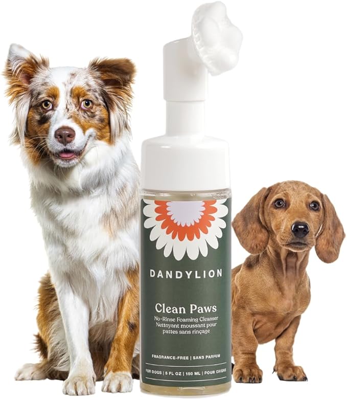 Dandylion Clean Paws Value Set – No‑Rinse Foaming Paw Cleaner with Built‑in Brush + 10 fl oz Refill