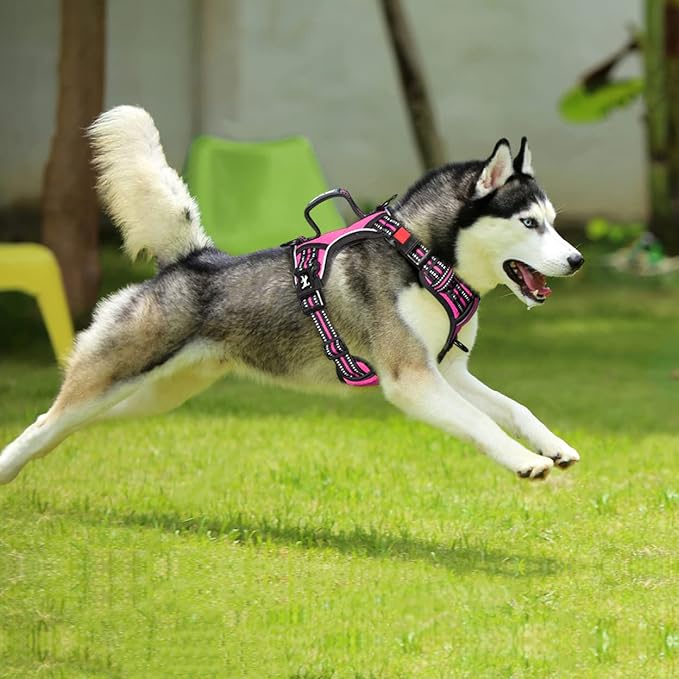 PoyPet No Pull Dog Harness, No Choke Front Clip Reflective Dog Vest with Soft Padded Vertical Handle, 3 Leash Attachments for Small Medium Large Dogs (Pink,XL)