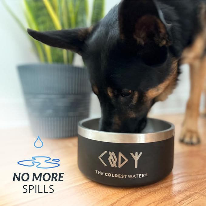 Coldest Dog Bowl - Anti Rust Metal, Non Slip, 3 Layers Insulated Stainless Steel Dog Bowls - Spill Proof & Heavy Duty - Water Bowl for Dogs, Cats & Pets, Dish Washer Safe (42 oz, Forever Pink Glitter)