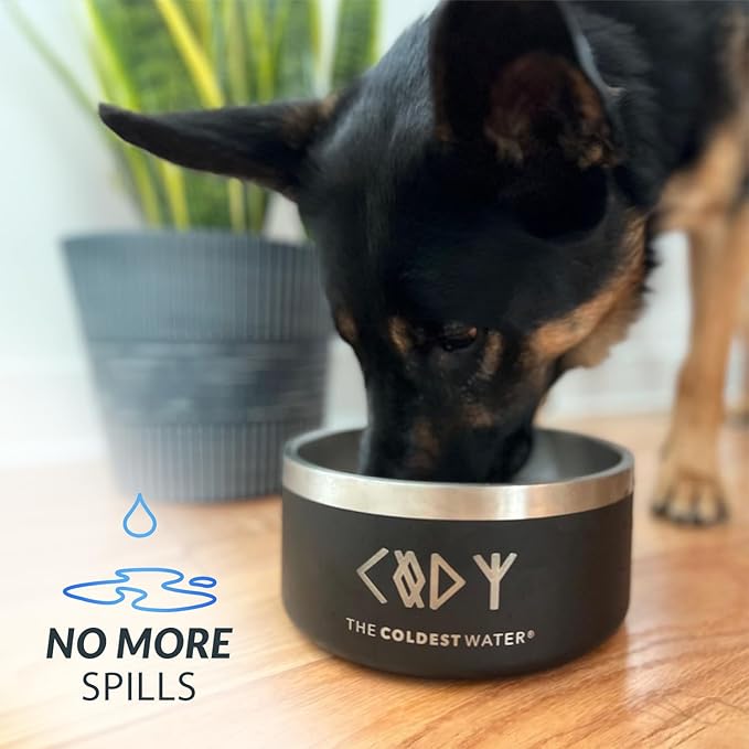 Coldest Dog Bowl - Anti Rust Metal, Non Slip, 3 Layers Insulated Stainless Steel Dog Bowls - Spill Proof & Heavy Duty - Water Bowl for Dogs, Cats & Pets, Dish Washer Safe (21 oz, Red)