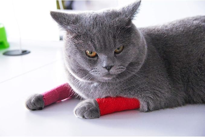 AUPCON Vet Wrap Cohesive Bandages Bulk Self Adhesive Bandage Wrap Self Adherent Wrap Non-Woven for Dogs Pet Animals & Ankle Sprains & Swelling 2 Inch x 5 Yards (2 Inch Black)