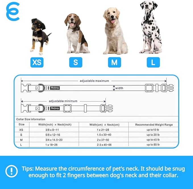 Blueberry Pet Essentials Adjustable Dog Collar in Turquoise | Dog Collars for Medium & Large Dogs | Eco-Friendly Nylon for Boy & Girl Puppies | Stylish & Durable for The Eco-Conscious