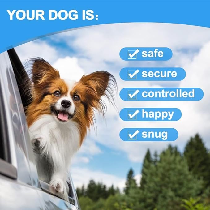 Dog Seat Belt Harness for Car,Dog Seatbelt of Coated Wire Leash Safety Restraint,No Chew Tether Cable Vehicle,Double Clips & Latch(Orange, 24 inch/60 CM)