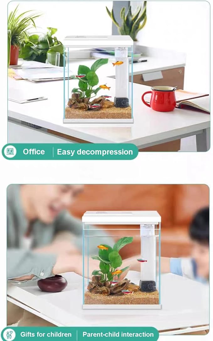 Betta Fish Tank, 2 Gallon Glass Aquarium Starter Kit, Small Fish Tank with Filter and Light.