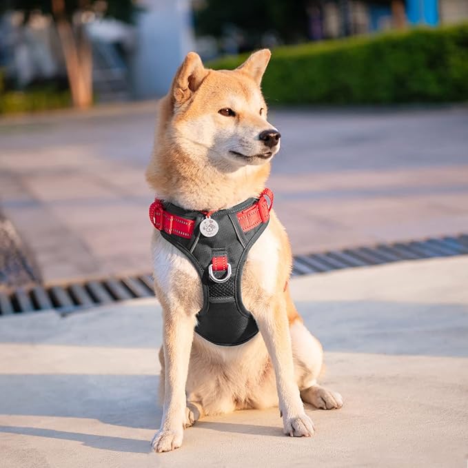 PHOEPET No Pull Dog Harness, Unique Colors Reflective Adjustable Dog Vest, with Soft Training Handle Metal Clips for Small Medium Large Dogs (Black Base & Red Straps,M)