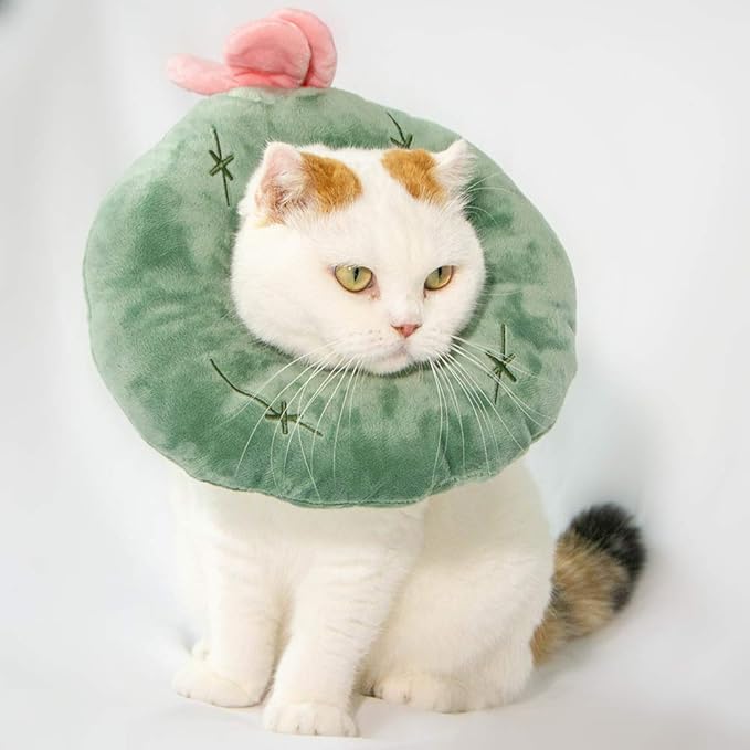 Adjustable Cat Recovery Collar Soft,Cute Pet E-Collar Neck Cone After Surgery Wound Healing Protective Cone Fit for Kitties, Small Dogs(ELC05-cactus-m)