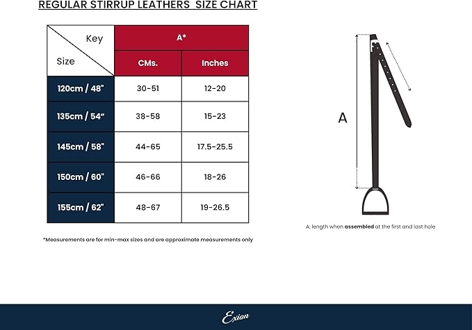 Exion FlexiStrong Stirrup Leathers for English Saddles – 1" Premium Calfskin with Nylon Core – Numbered Holes, Stainless Steel Buckles – Black/Brown – Horse Riding Gear (48"/120cm to 62"/155cm)