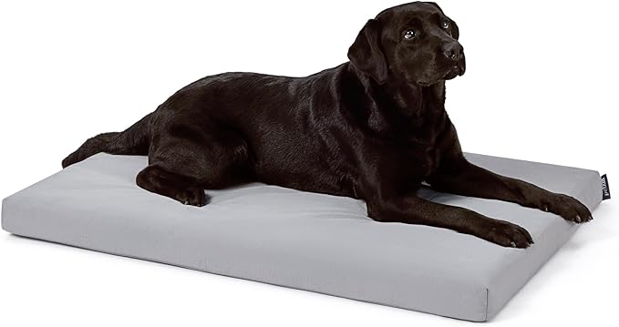 Cybarmour Indestructible Dog Bed - Outdoor Waterproof Chew Proof Dog Crate Pad - Orthopedic Kennel Mat for Aggressive Chewers - Large Breeds & Fits 42-Inch Crate - 41"x27", Limestone