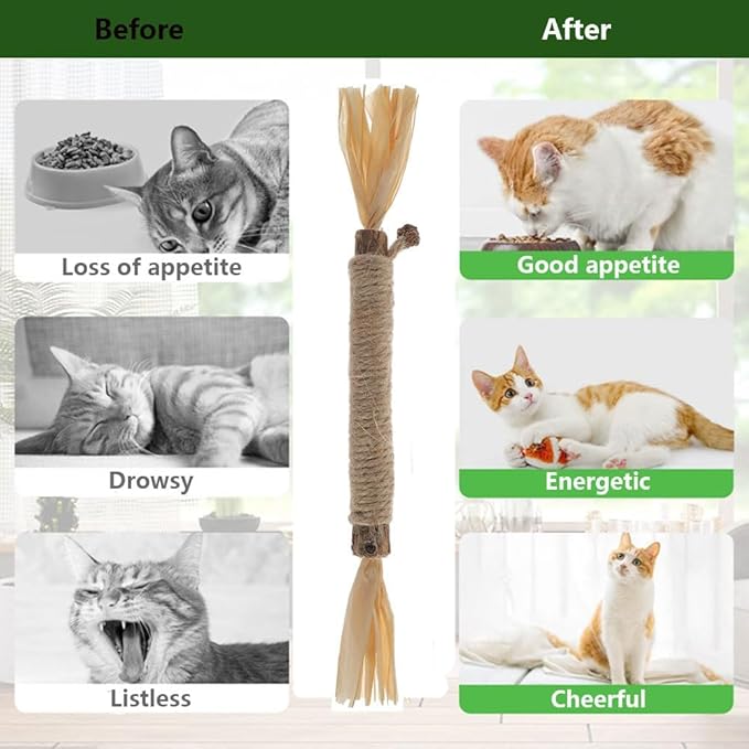 5 PCS Silvervine Sticks for Cats - Natural Cat Chew Toys for Teeth Cleaning, Kitten Teething & Aggressive Chewers
