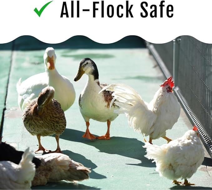 Grub Fuel Black Soldier Fly Larvae for Chickens - Nutrient-Packed BSFL, Sustainably Sourced Snack for Poultry, Rich in Protein, Calcium, Fiber, Essential Fatty Acids, USA Grown (1LB)