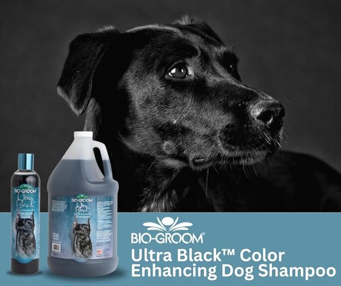 Bio-Groom Ultra-Black Dog Shampoo – Color Enhancing Pet Shampoo, Dog Bathing Supplies, Puppy Wash, Dog Grooming Supplies, Cruelty-Free, Made in USA, Coat Brightener Shampoo – 12 fl oz 1-Pack