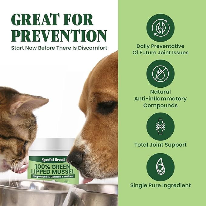 Green Lipped Mussel Powder for Dogs & Cats - 100% New Zealand Green Lipped Mussels - Natural Hip & Joint Supplement for Joints, Tendons, Ligaments, Muscles - 75 Grams - Up to 250 Servings