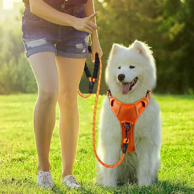 BARKBAY Dog Harness No Pull with ID Tag Pocket - Heavy Duty, Reflective, Easy Control for Large Dogs(Orange,XL)