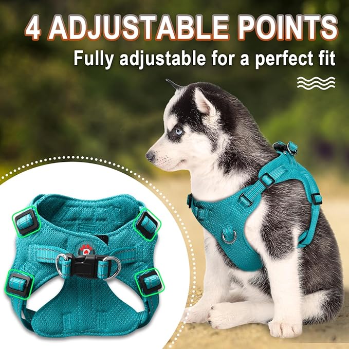 Dog Harness Step in Dog Vest Harness, Reflective Adjustable Puppy No Pull Harness Breathable Soft for Small and Medium Dogs Cats, Ocean Blue, XXS