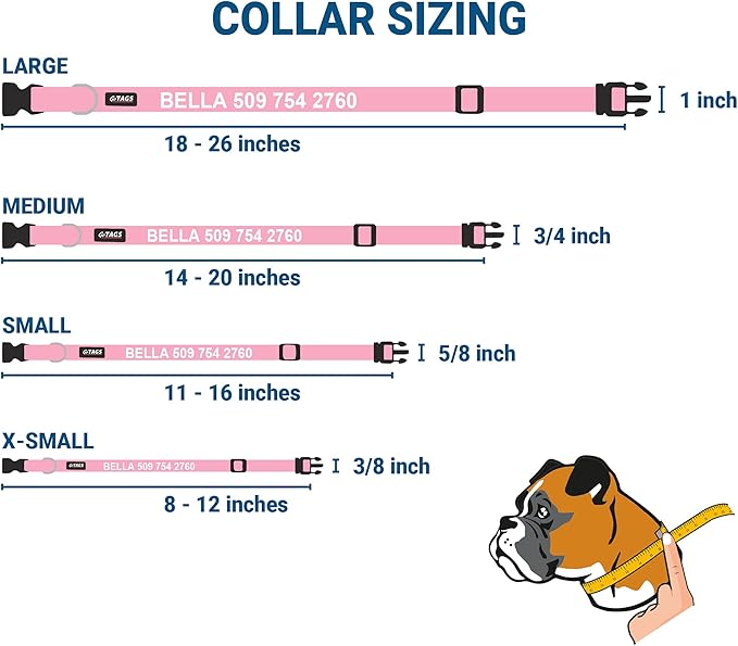 GoTags Personalized Dog Collar with Nameplate, Adjustable Dog Collar with Custom Engraved Slide On Pet ID Tag in Stainless Steel, Silent, No Noise Dog Tag for Large Medium and Small (Pink, X-Small)