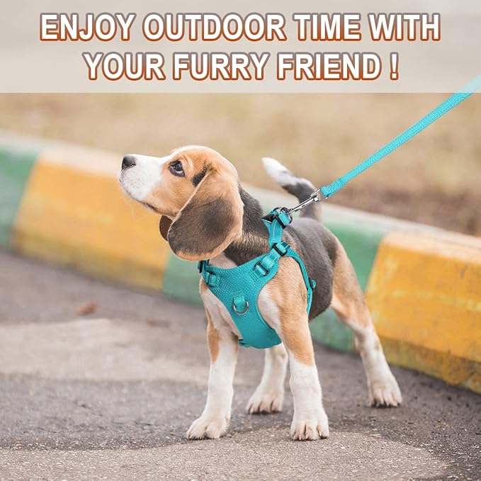 Dog Harness Step in Dog Vest Harness, Reflective Adjustable Puppy No Pull Harness Breathable Soft for Small and Medium Dogs Cats, Ocean Blue, XS