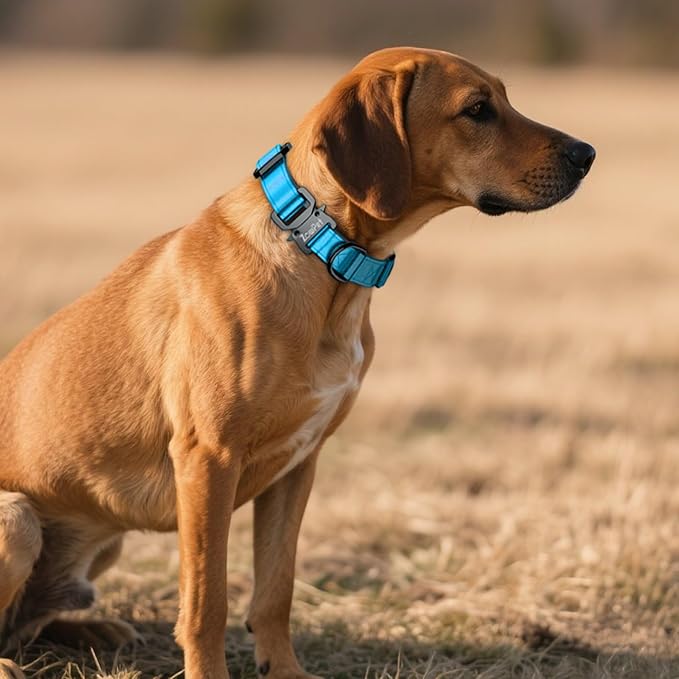 AirTag Dog Collar - Leather Dog Collar with Airtag Holder | IP68 Waterproof AirTag Holder with Metal Buckle, Comfortable GPS Dog Collars Tracker for Medium Large Dogs (Blue, M)