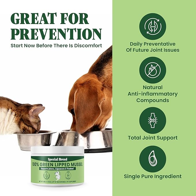 Green Lipped Mussel Powder for Dogs & Cats - 100% New Zealand Green Lipped Mussels - Natural Hip & Joint Supplement for Joints, Tendons, Ligaments, Muscles - 50 Grams - Up to 166 Servings