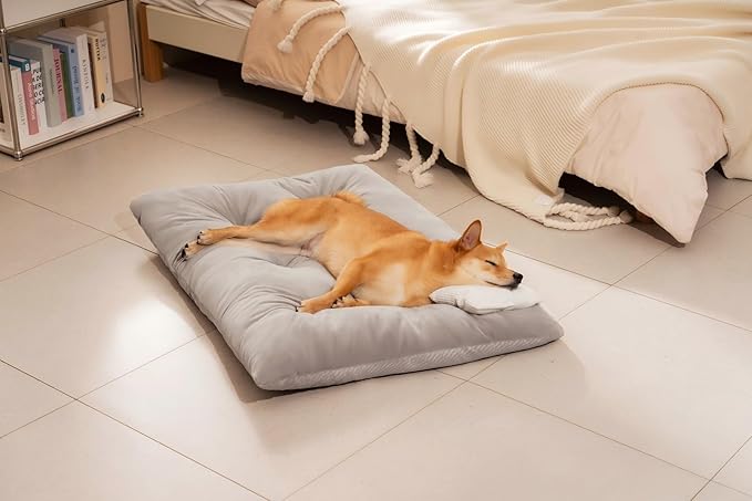 FUNNY FUZZY Washable Dog Bed,Reversible Plush Dog Crate Mat, Soft Fluffy Kennel Pad,Pet Sleeping Mattress for Large,Jumbo,Medium Sized Dogs Breeds,Indoor Cats,41.7" × 28.3", Light Grey