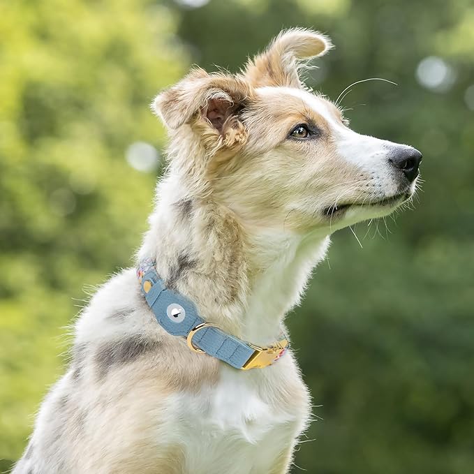 AirTag Dog Collar for Small Medium Large Breed - Adjustable Cute Pattern Dog Collar with Airtag Holder - Soft Leather Tracker GPS Apple Air Tag Pet Collars (Medium, 14"-18" Neck Fit, Floral)