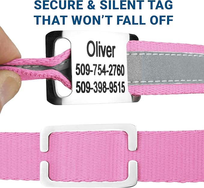 GoTags Reflective Personalized Dog Collar with Nameplate, Adjustable Dog Collar with Custom Engraved Steel Slide On Pet ID Tag, Silent, No Noise Dog Tag for Large Medium or Small (Pink, Medium)