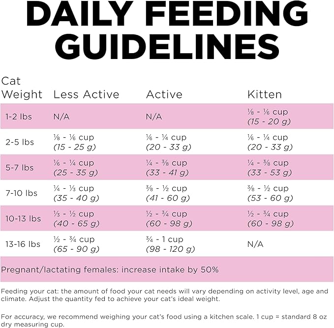 Go! Solutions Skin + Coat Care, Dry Cat Food, Chicken Recipe with Grains, 8 lb Bag